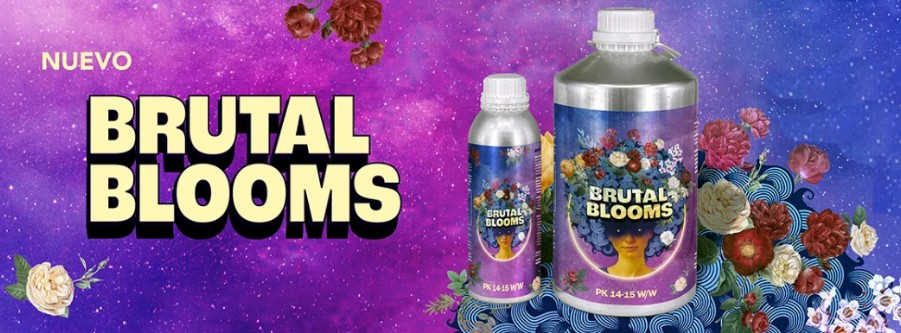 Brutal blooms