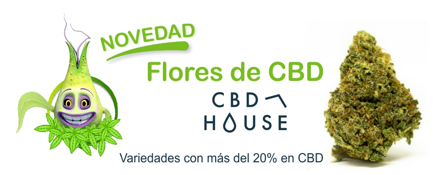 Cbd House